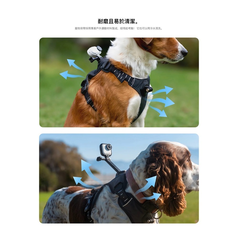【彈藥庫】Insta360 寵物背帶支架(S/M)(Ultra) #CINSBAVX #CINSBAVW-細節圖4