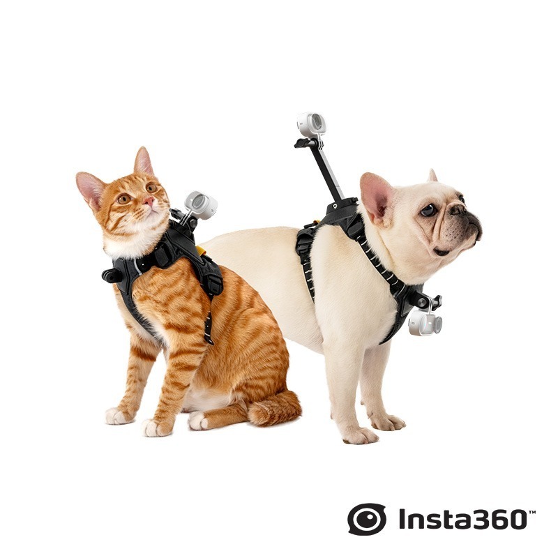 【彈藥庫】Insta360 寵物背帶支架（S/M）#CINSBAVW-細節圖7