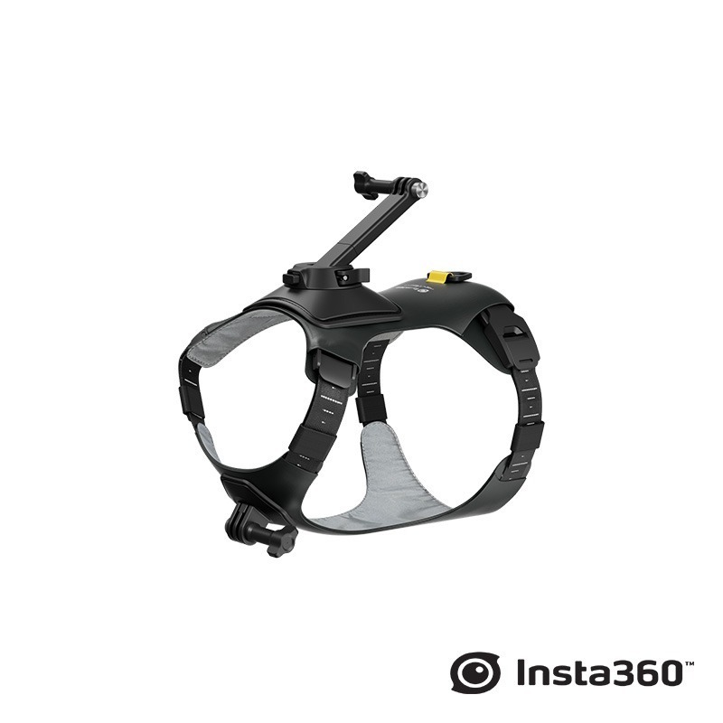 【彈藥庫】Insta360 寵物背帶支架（S/M）#CINSBAVW-細節圖8