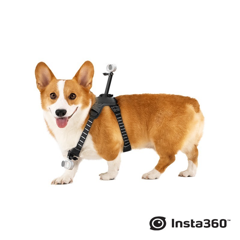 【彈藥庫】Insta360 寵物背帶支架（S/M）#CINSBAVW-細節圖11