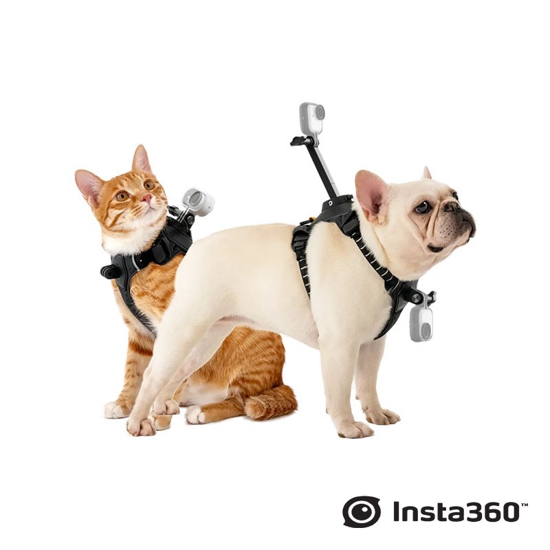 【彈藥庫】Insta360 寵物背帶支架(S/M)(Ultra) #CINSBAVX #CINSBAVW-規格圖11