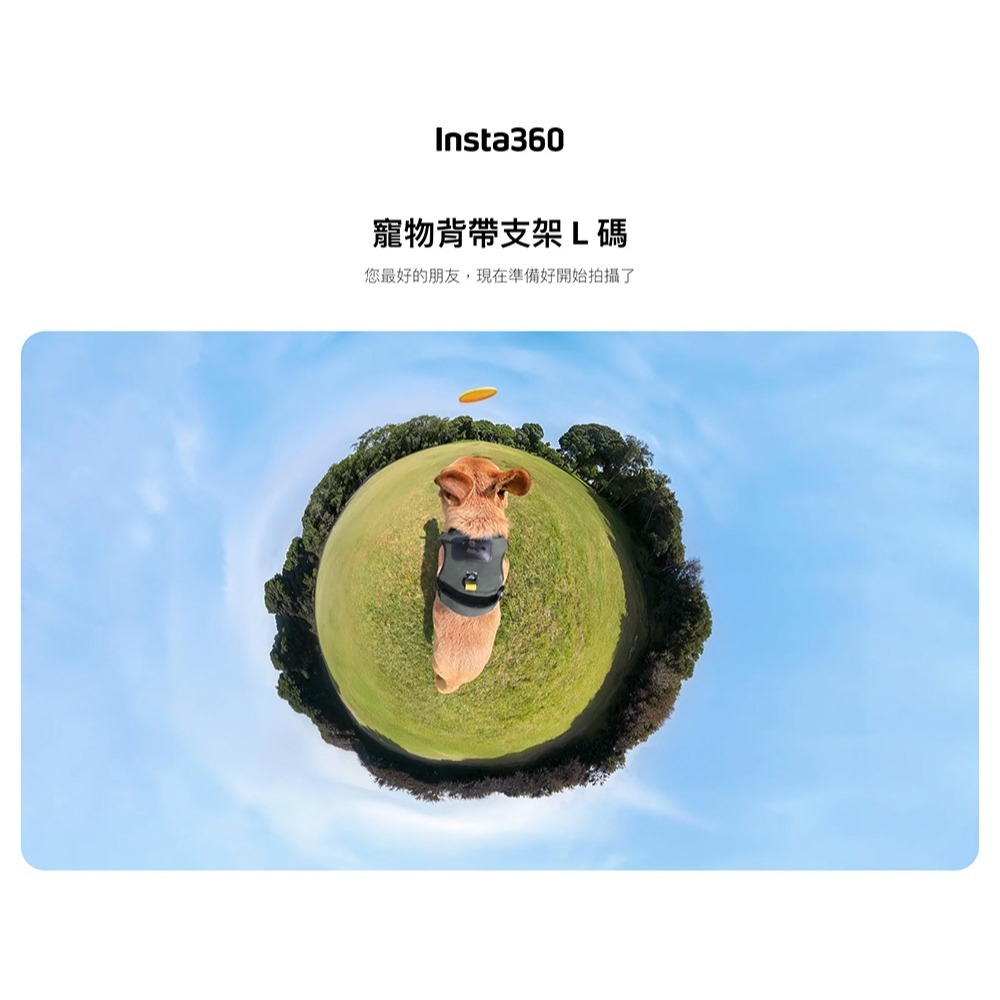 【彈藥庫】Insta360 寵物背帶支架-L #CINSBAVZ-細節圖4