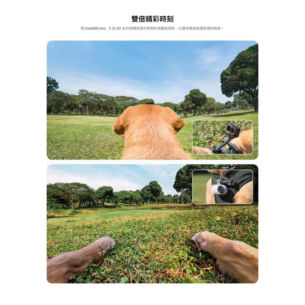 【彈藥庫】Insta360 寵物背帶支架-L #CINSBAVZ-細節圖5