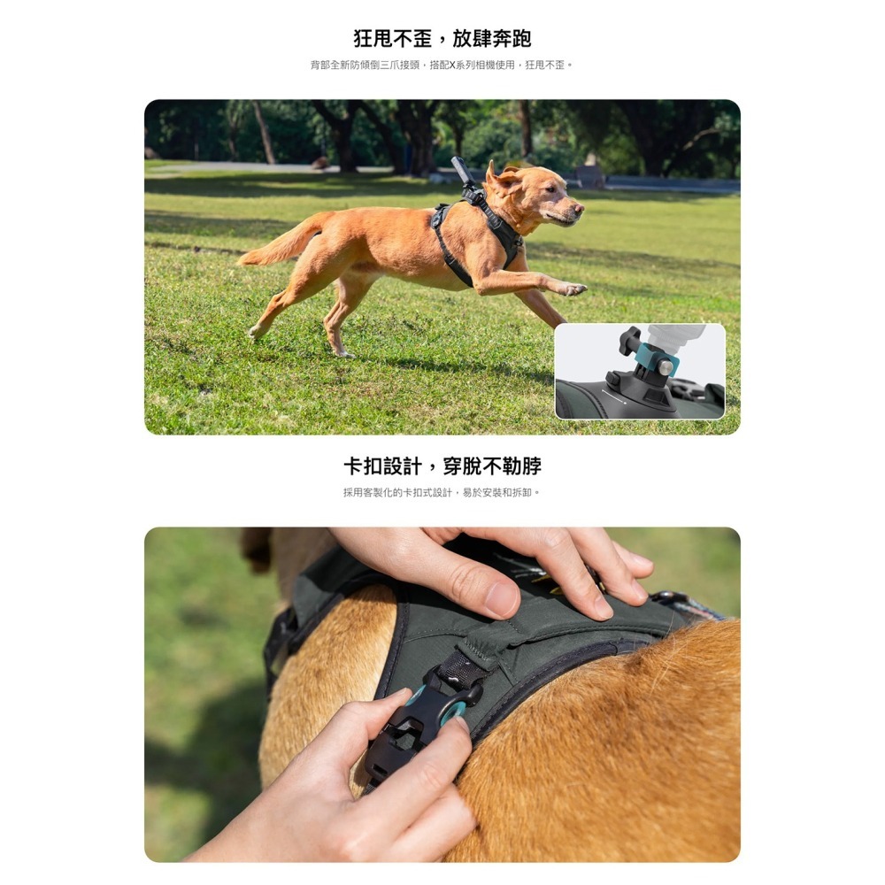 【彈藥庫】Insta360 寵物背帶支架-L #CINSBAVZ-細節圖6