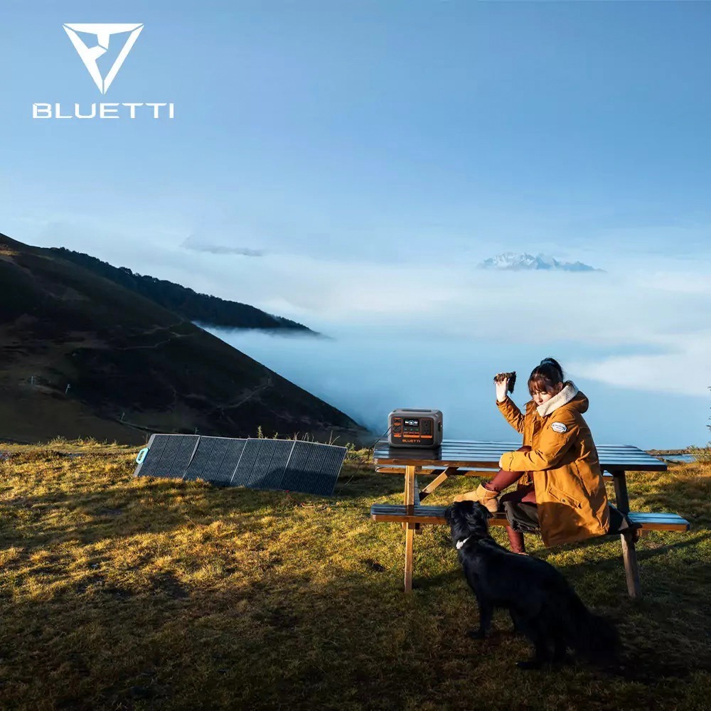 【彈藥庫】Bluetti AC2P Premium 鉑金版 300W 移動式電源-細節圖6