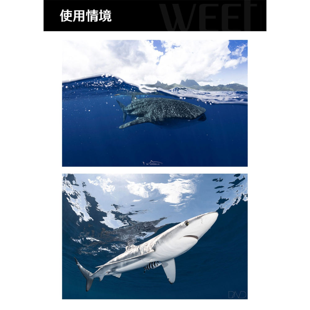 【彈藥庫】WEEFINE WFL14 廣角鏡頭 M67卡口-細節圖10