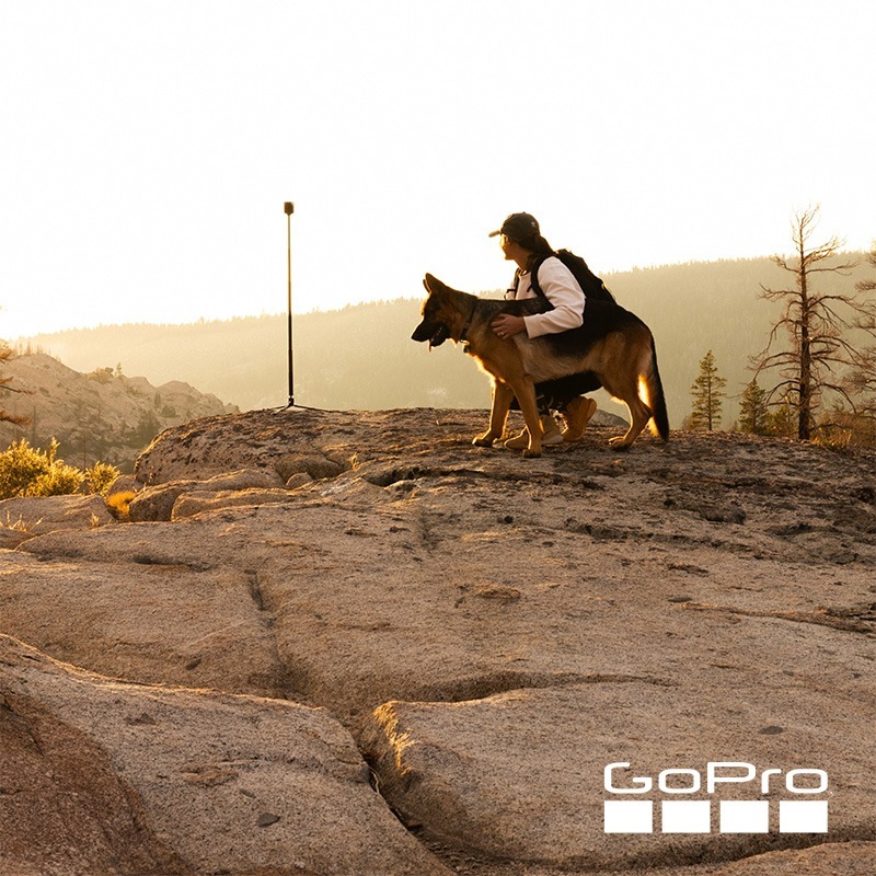 【彈藥庫】GoPro MAX2/HERO 13/LIT 隨身小腳架 + 1/4-20 球型雲台 #ABTTR-001-細節圖9