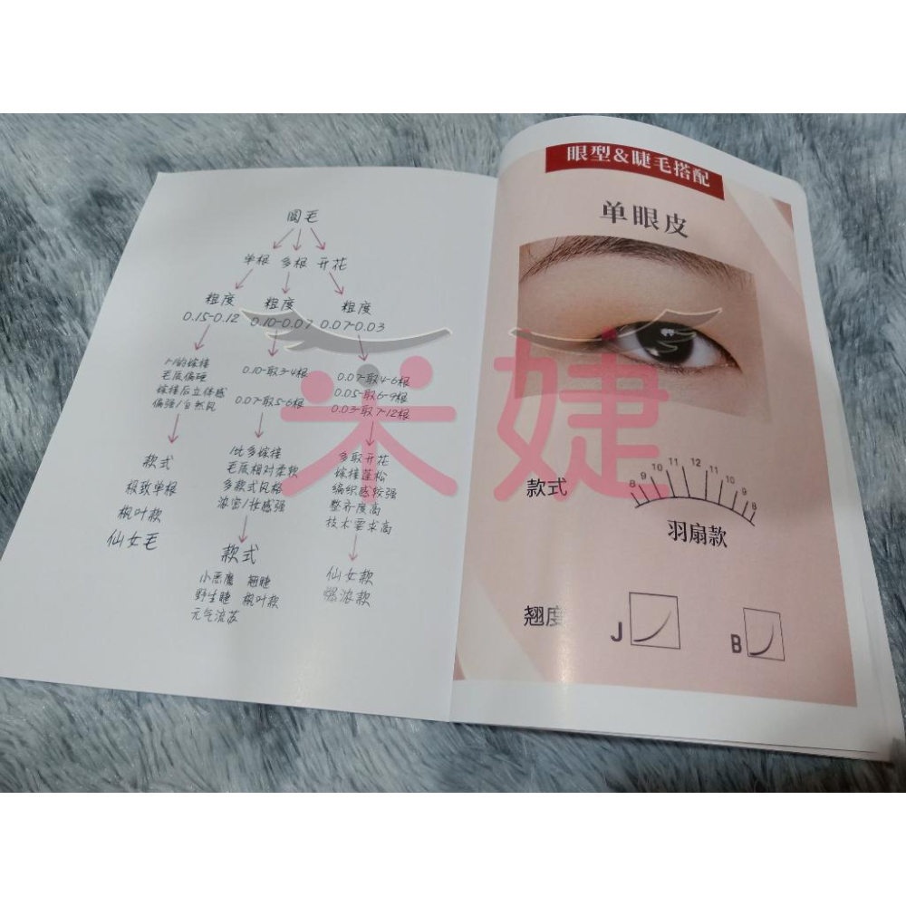 【采婕美學】美睫款式集合圖 睫毛公式圖 話術100問 美睫書(學科/術科)抖音睫毛款 開店必備 嫁接技術自學-細節圖4