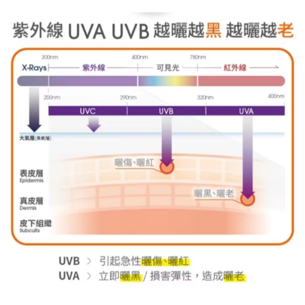 Cetaphil 舒特膚 防曬乳高效防曬凝露SPF50+ UVA/UVB 50ml-細節圖3