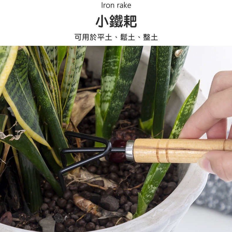 🌱木柄園藝工具三件組🌷鏟子耙子刮刀組 小巧好握 易清潔🌸盆栽鬆土修剪必備🌼鏟子+耙子+刮刀盆栽花園適用⚒️鬆土挖-細節圖4