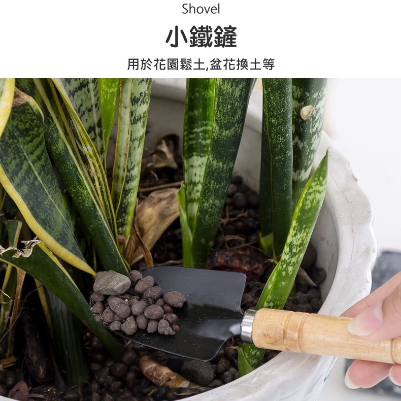 🌱木柄園藝工具三件組🌷鏟子耙子刮刀組 小巧好握 易清潔🌸盆栽鬆土修剪必備🌼鏟子+耙子+刮刀盆栽花園適用⚒️鬆土挖-細節圖5