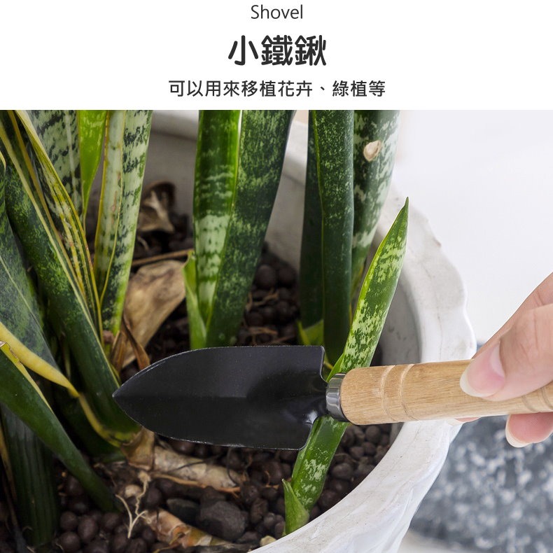 🌱木柄園藝工具三件組🌷鏟子耙子刮刀組 小巧好握 易清潔🌸盆栽鬆土修剪必備🌼鏟子+耙子+刮刀盆栽花園適用⚒️鬆土挖-細節圖6