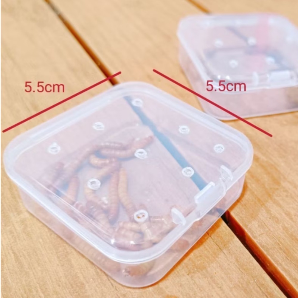 當天 快速出貨 會爬的優質麵包蟲✅50克一盒 寵物零食 鈣粉蔬果穀粉添加營養滿分 蜜袋鼯 狐萌 麵包蟲乾 麵包蟲 飼料-規格圖4