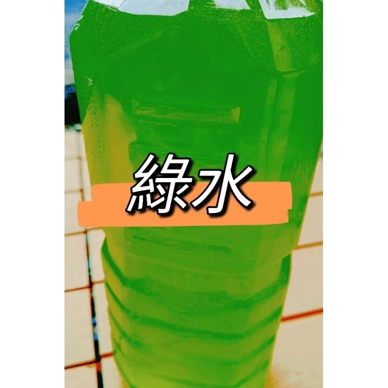 💚當天 快速出貨 淡水 綠水 米蚤 水蚤 仔魚飼料 天然培養600ml30元 綠藻 天然飼料 小魚飼料 水蚤飼料 綠藻-規格圖3