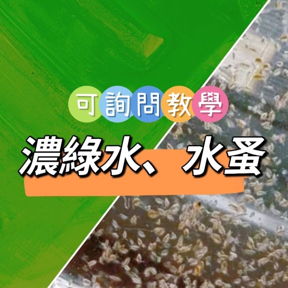 滿滿 水蚤600ml50元買五送一，濃綠水600ml25元-規格圖1