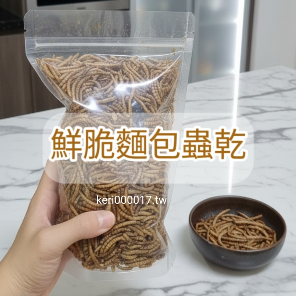 當天 快速出貨 麵包蟲 黃粉蟲 麵包蟲乾 鬆獅蜥 刺蝟 倉鼠 鳥 龜 守宮 蜜袋鼯 蜥蜴 飼料-規格圖1