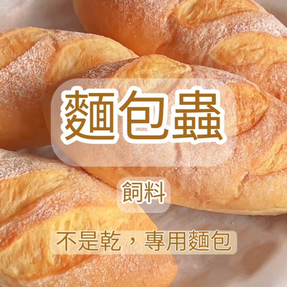 會爬的麵包蟲50克，一盒