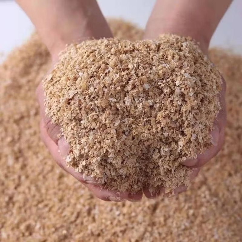 當天 快速出貨 麵包蟲 黃粉蟲 麵包蟲乾 鬆獅蜥 刺蝟 倉鼠 鳥 龜 守宮 蜜袋鼯 蜥蜴 飼料-規格圖1