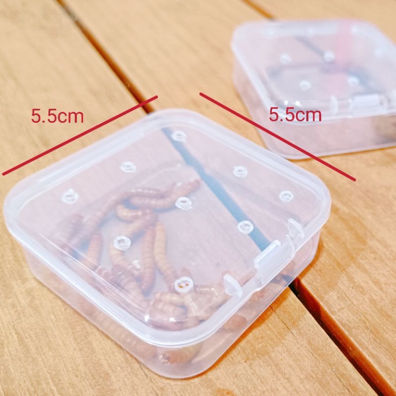 當天 快速出貨 麵包蟲 黃粉蟲 麵包蟲乾 鬆獅蜥 刺蝟 倉鼠 鳥 龜 守宮 蜜袋鼯 蜥蜴 飼料-規格圖1