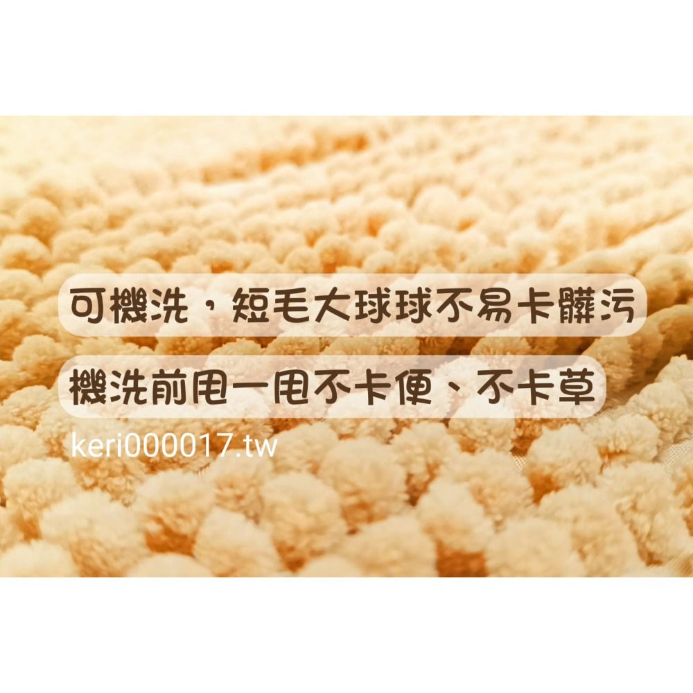 🚙24H當天 快速出貨 ✅超柔軟超吸水✅短粗毛 雪尼爾地墊 吸水地墊 尿布墊 止滑 天竺鼠 地墊 睡墊 地毯 毯子 毛-細節圖3
