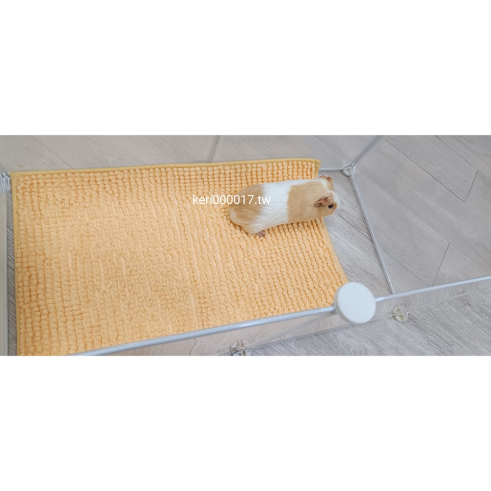 🚙24H當天 快速出貨 ✅超柔軟超吸水✅短粗毛 雪尼爾地墊 吸水地墊 尿布墊 止滑 天竺鼠 地墊 睡墊 地毯 毯子 毛-規格圖6