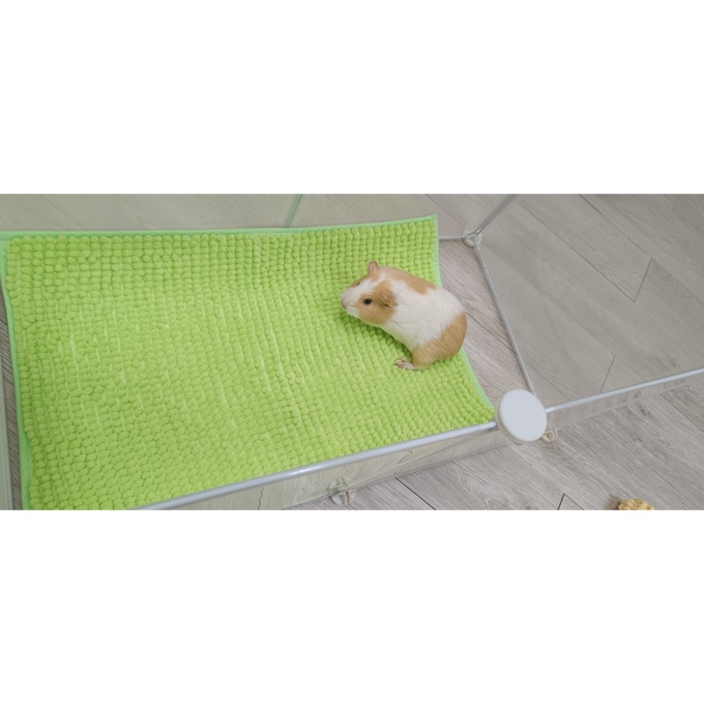 🚙24H當天 快速出貨 ✅超柔軟超吸水✅短粗毛 雪尼爾地墊 吸水地墊 尿布墊 止滑 天竺鼠 地墊 睡墊 地毯 毯子 毛-規格圖6