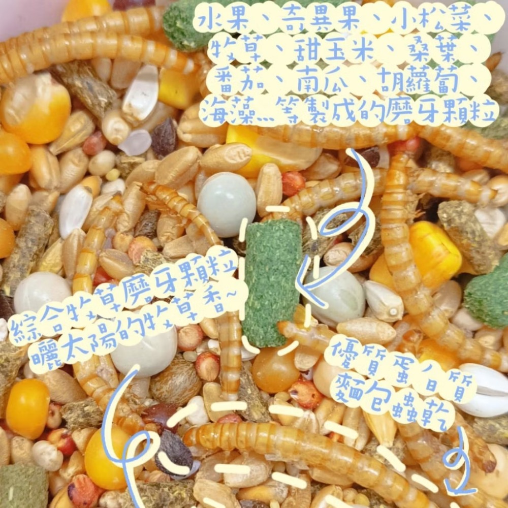 🚙24H當天 快速出貨 ✅精選特調穀物營養餐✅ 特調穀物飼料 倉鼠糧 倉鼠主食 寵物鼠飼料 全鼠類主食 倉鼠飼料 鼠飼-細節圖2