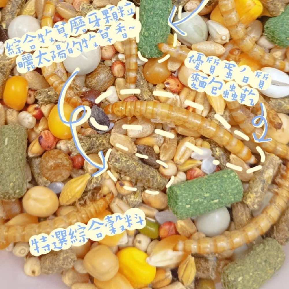 🚙24H當天 快速出貨 ✅精選特調穀物營養餐✅ 特調穀物飼料 倉鼠糧 倉鼠主食 寵物鼠飼料 全鼠類主食 倉鼠飼料 鼠飼-細節圖3