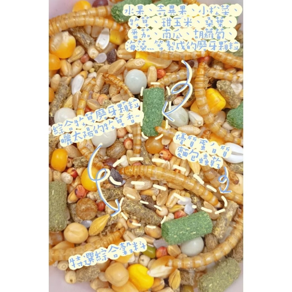 ✅麵包蟲乾✅磨牙牧草綜合特調飼料600克