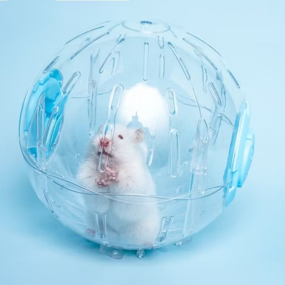 🚙24H當天✅ 快速出貨 倉鼠散步 倉鼠球 倉鼠跑球 倉鼠運動跑球 倉鼠運動 寵物鼠跑球 倉鼠水晶球-細節圖4