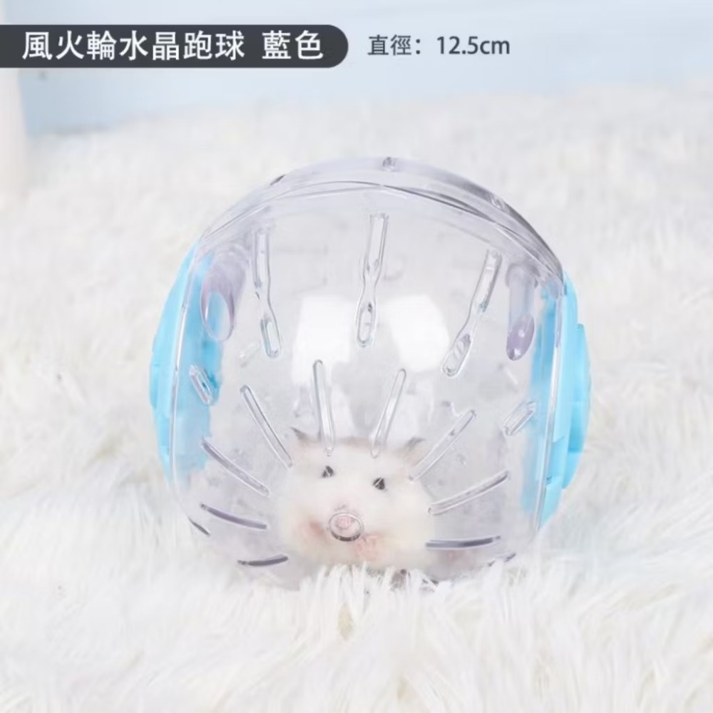 🚙24H當天✅ 快速出貨 倉鼠散步 倉鼠球 倉鼠跑球 倉鼠運動跑球 倉鼠運動 寵物鼠跑球 倉鼠水晶球-細節圖7