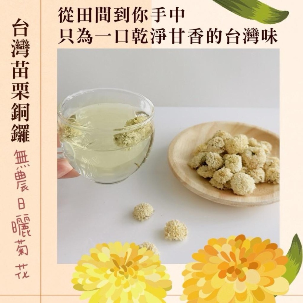 chill愛吃台灣苗栗銅鑼杭菊 幫助晶亮舒緩 10g 正宗杭白菊 928福利社-細節圖3