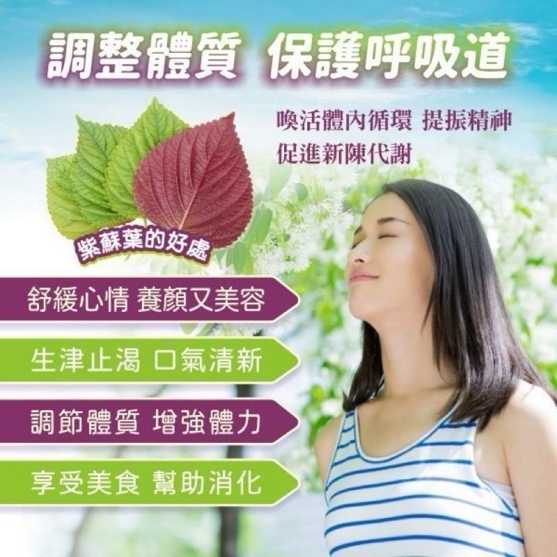 小萃幸紫蘇葉茶 幫助清爽解膩 10包 無咖啡因 草本茶 928福利社-細節圖3