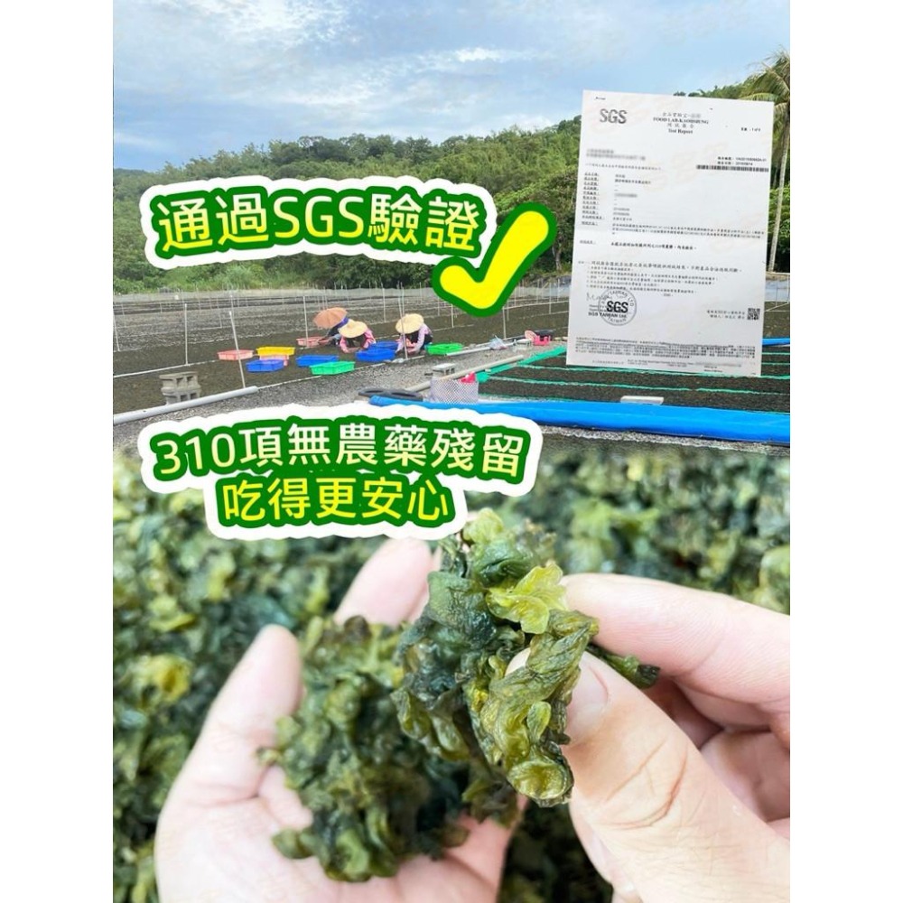 滿州鄉乾燥雨來菇 幫助補給營養 30g 料理食材 928福利社-細節圖3