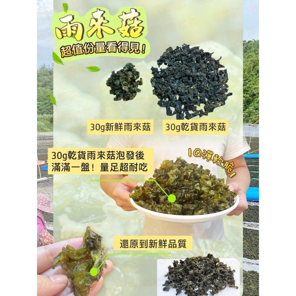 滿州鄉乾燥雨來菇 幫助補給營養 30g 料理食材 928福利社-細節圖5