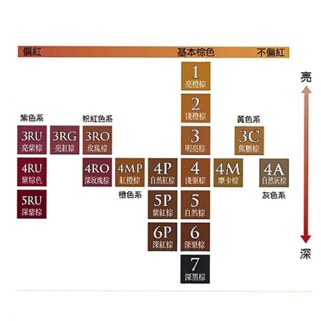 CIELO 宣若 EX染髮霜 (2淺橙棕/3明亮棕/3RO玫瑰棕/3C焦糖棕/3RU亮紫棕)，有5款可選擇-細節圖4