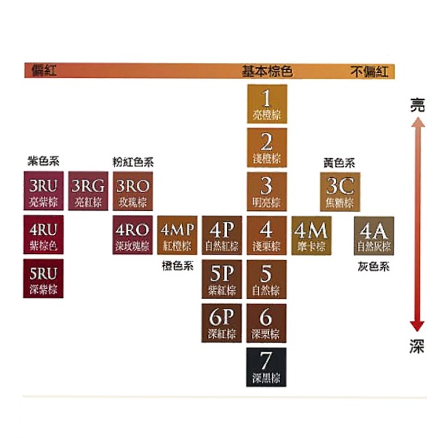 CIELO 宣若 EX染髮霜(4淺栗棕/4P自然紅棕/4A自然灰棕/4M摩卡棕/4RO紅橙棕/4MP紅橙棕/4RU紫棕）-細節圖3