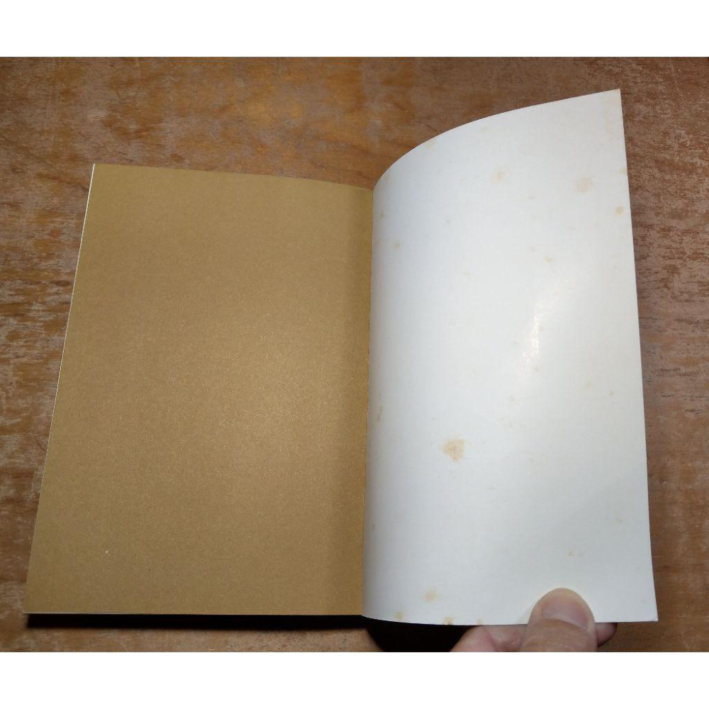 畫布後的故事(多泛黃斑、無書衣)│原田舞葉 │野人│六成新-細節圖4