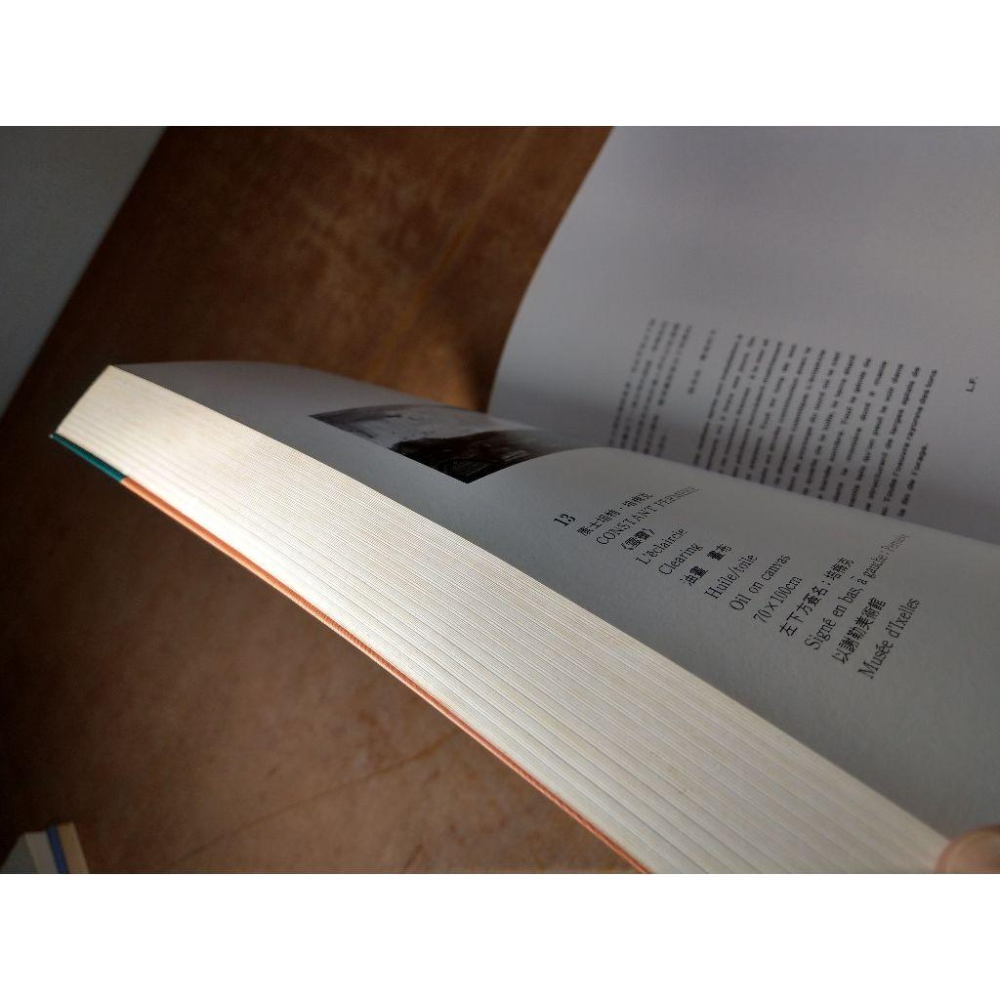 比利時表現主義：BELGIAN EXPRESSINISM(泛黃、書斑)│高雄市立美術館│比利時 表現主義、書│七成新-細節圖6