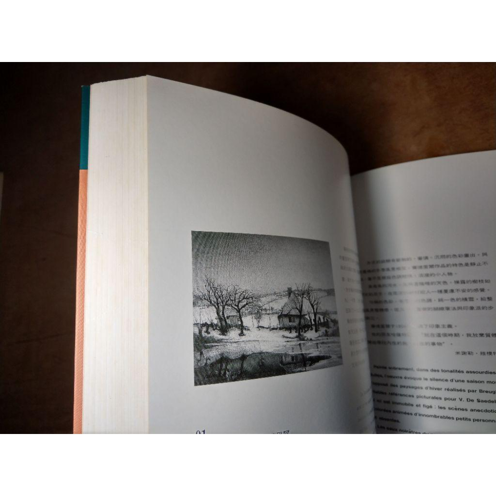 比利時表現主義：BELGIAN EXPRESSINISM(泛黃、書斑)│高雄市立美術館│比利時 表現主義、書│七成新-細節圖7