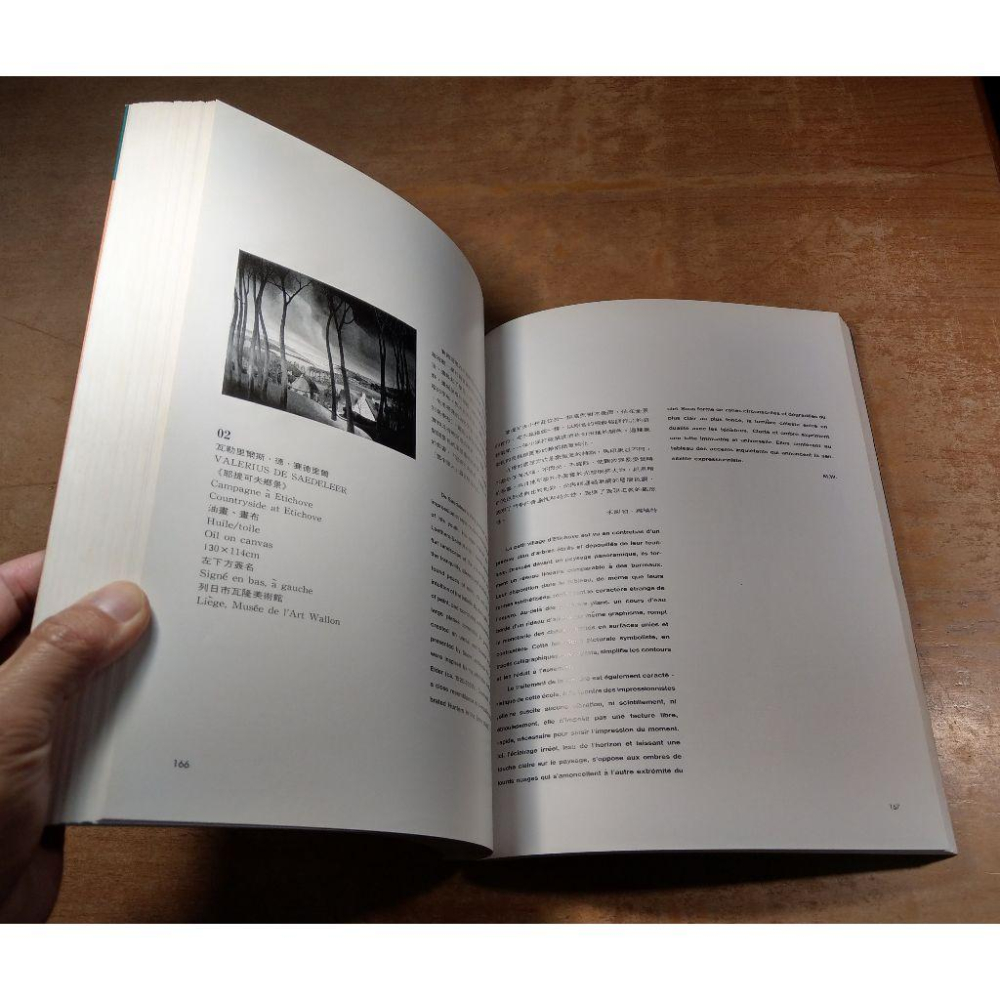 比利時表現主義：BELGIAN EXPRESSINISM(泛黃、書斑)│高雄市立美術館│比利時 表現主義、書│七成新-細節圖9