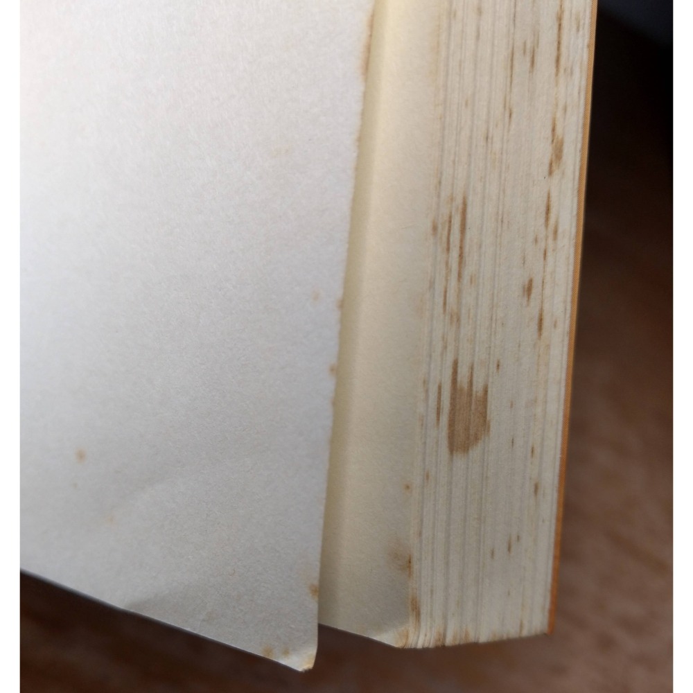 代馬輸卒手記 代馬五書：精華篇(泛黃、多書斑)│張拓蕪│爾雅│代馬輸卒、代馬五書精華篇、書、二手書│老書-細節圖8