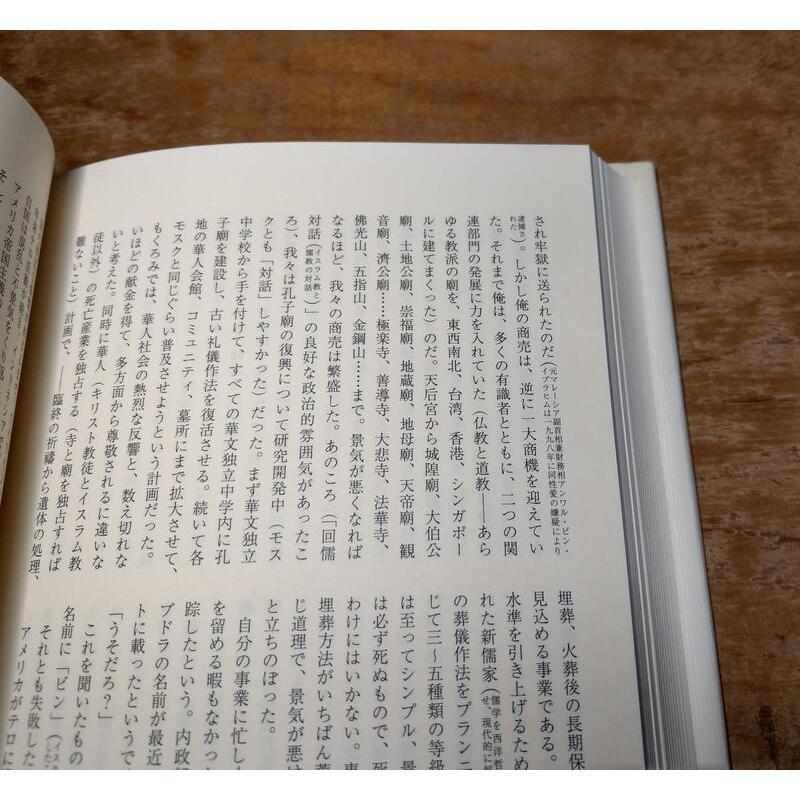 (日文書，現貨)夢と豚と黎明│黃錦樹│人文書院│9784409111932│夢與豬與黎明│七成新-細節圖8