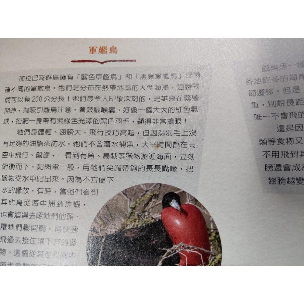 遇見達爾文：加拉巴哥群島尋祕記(書側多處碰撞凹痕)│楊恩生│小魯│六成新-細節圖7