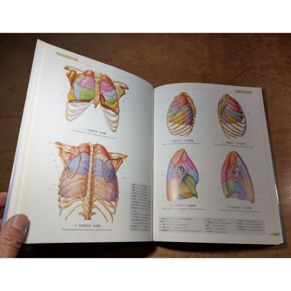 局部解剖學彩色圖譜│徐國成、馮琮涵│新文京│解剖學、解剖學彩色圖譜、書、二手書│七成新-細節圖5