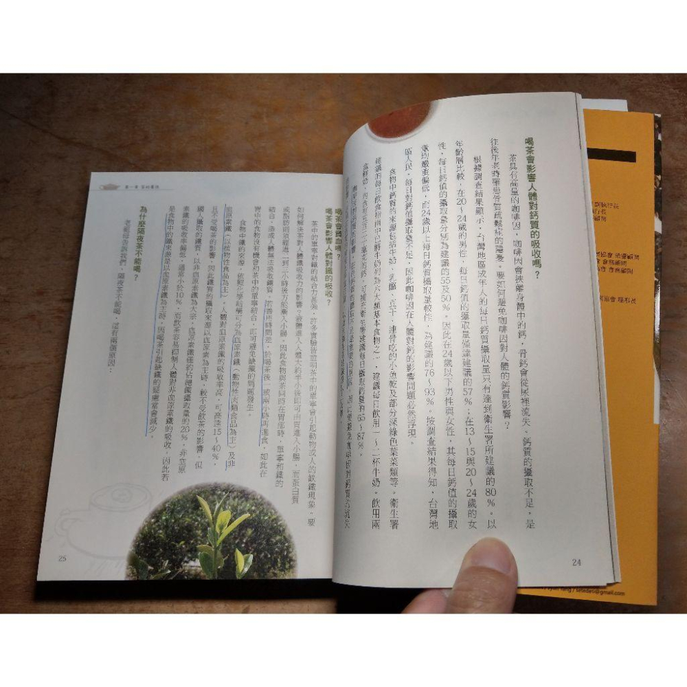 (平裝書籍)品味台灣老茶│林志煌│宇河│老茶、書、二手書│七成新-細節圖8