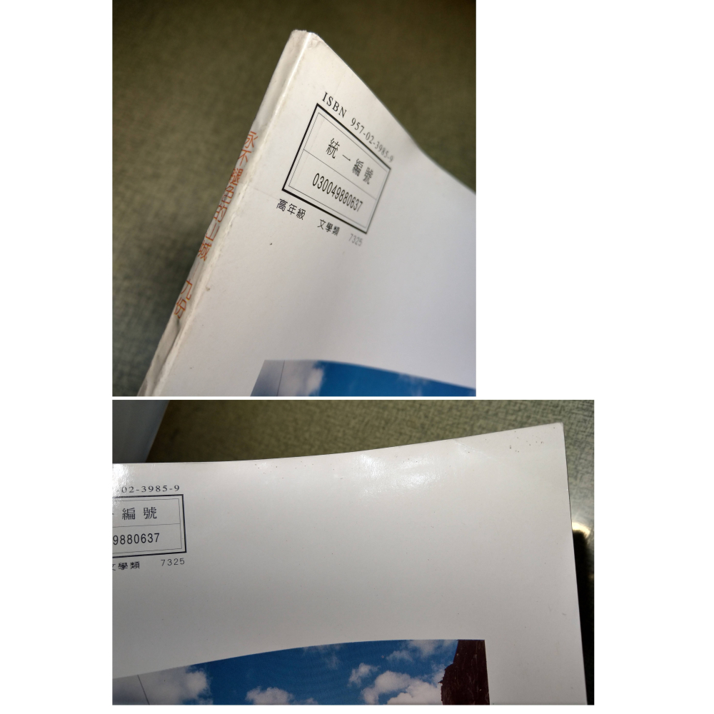 永不褪色的山城：九份│邱各容、羅濟昆│中華兒童叢書│永不褪色的山城九份、山城、書、二手書│六成新-細節圖6