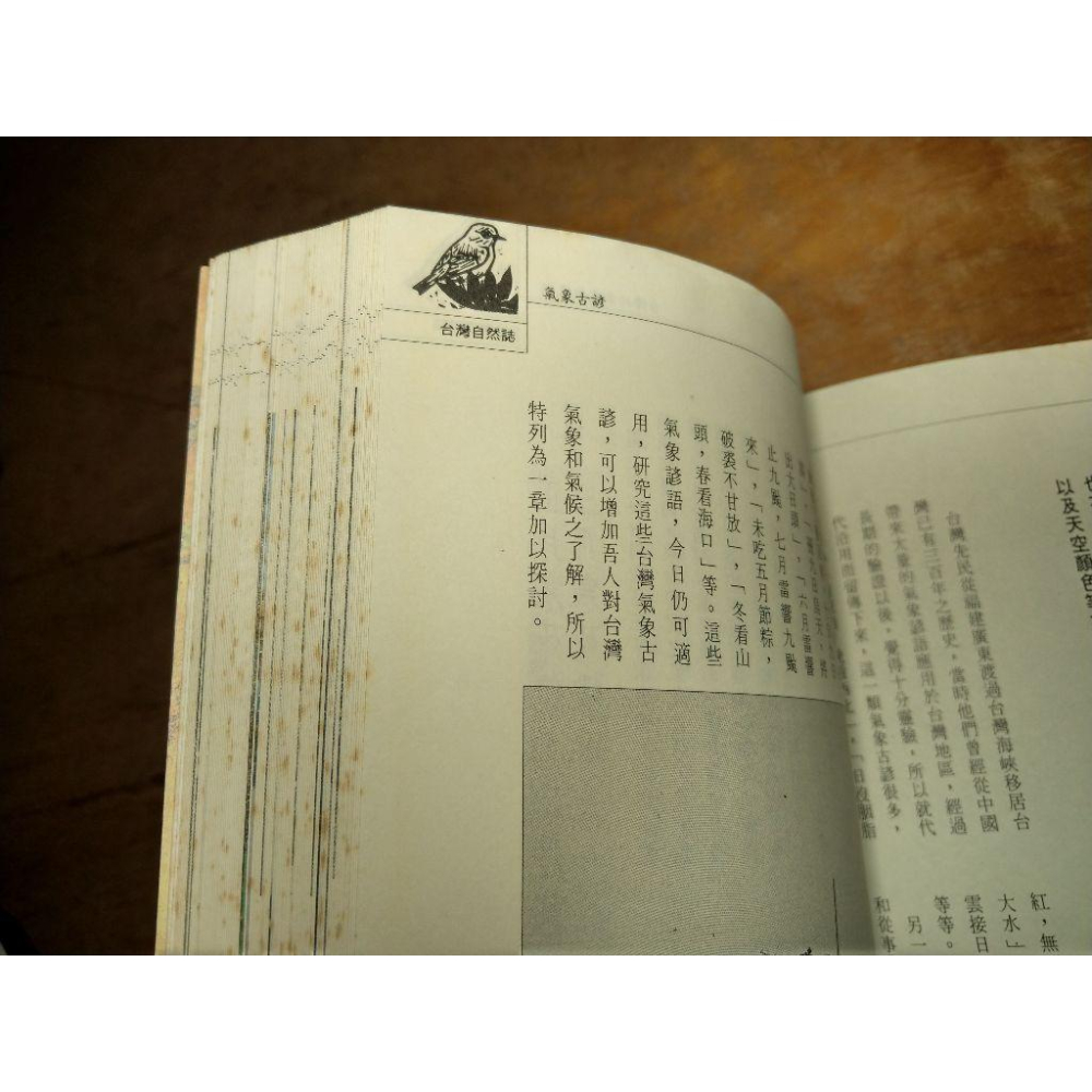 台灣的氣象與氣候(泛黃、多書斑)│劉昭民│常民文化│圖書老舊-細節圖6