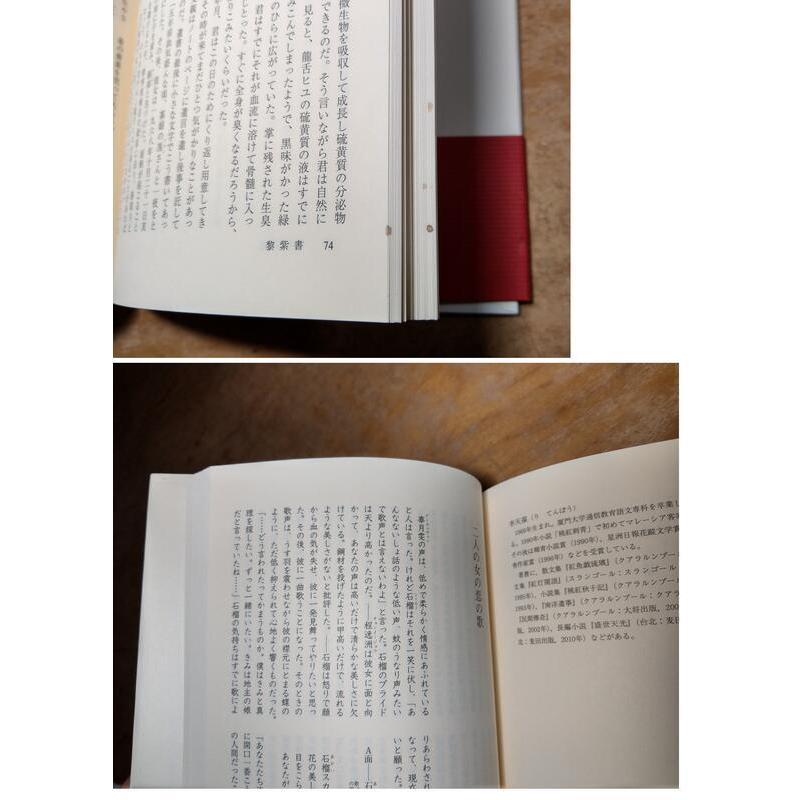 (日文書，現貨)白蟻の夢魔│黎紫書、小黑、李天葆、張錦忠│人文書院│9784409111949│白蟻、夢魔│七成新-細節圖6