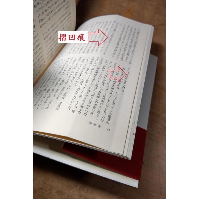 (日文書，現貨)白蟻の夢魔│黎紫書、小黑、李天葆、張錦忠│人文書院│9784409111949│白蟻、夢魔│七成新-細節圖7